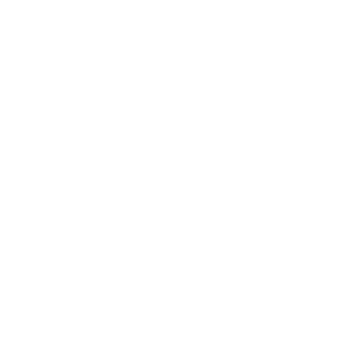 Challenger Finance