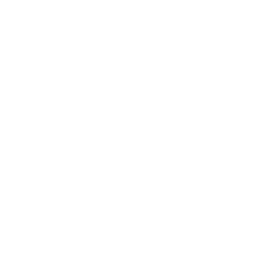 CoPilot